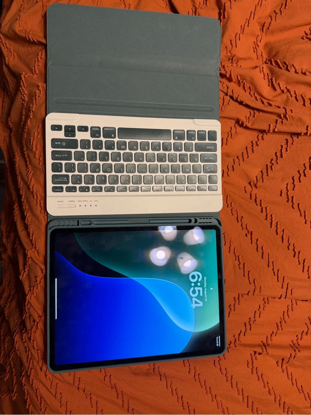 Apple iPad with Blue and Black Display and Gray Case